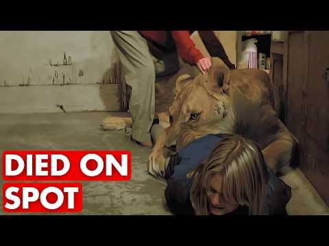 The "Cursed" Movie Sets Where Multiple Actors Lost Their Lives