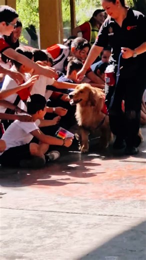 Dogtor Tyler 🐶🐾🩺✨💕 #therapydog #therapydogsoftiktok #dogtor #tyler #happydog #petlover #petlove #goldenretriever #goldenretrieverlife #k9training #manadak9 #@Manadak Nueve @Susy Martinez @Karla @San Martinez @Ricardoo Lara Calder #kids #kidsoftiktok #training #happy #happydog #happyday