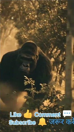 Angry Gorilla Charging in the Jungle 🦍🔥