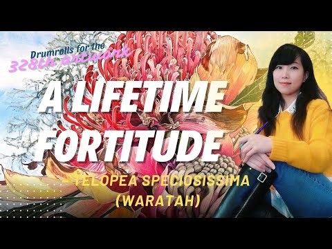 A Lifetime Fortitude – Telopea Speciosissima (Waratah) By HSIN LIN -Timelapse Art Video‪@hsinlinart‬