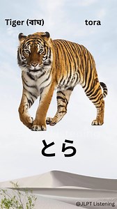 Japanese word Challenge #8 for JLPT N5 learners #jafrichallenge #viralreelschallenge2025viralreelschallengejaiviralreelschallengeviralreelschallenge #japanese #lifestyle | JLPT Listening
