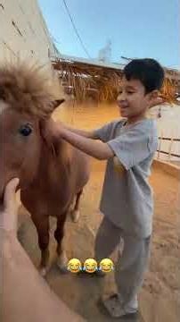 #يوميات_اسامه_يومياتي #اسامه_الدغيري
