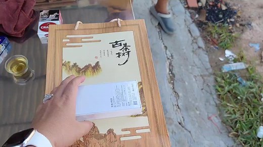 Xiaomi Qin F21 Pro: A Comprehensive Review