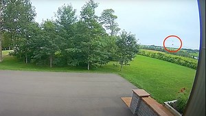 Watch Jake Paul get knocked out by Anthony Joshua