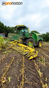 John Deere 9900i forage harvester in action | Pro Horizon Farming Content
