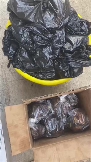 #fyppppppppppppppp #viral_video #jos #Josdryfish