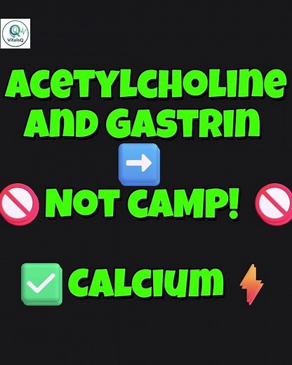 The Parietal Cell Hack How Ranitidine Works 💊 | Physiology 101