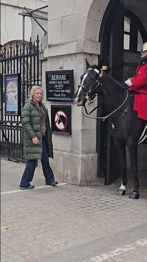 Beautiful Moment, such a sweet horse❤️