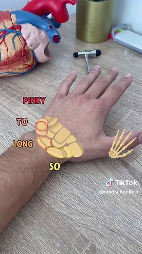 Memorize the Carpal Bones in 15s! 🤚 Save this for your exams! #fyp #medstudent #medschool #anatomy #anatomyclass #premed #premedstudent