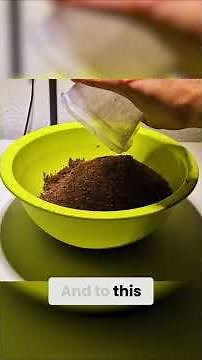 Desert Terrarium Soil - Mixing Guide for Thriving Plants