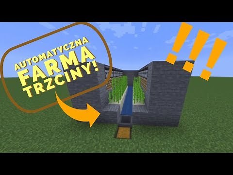 AUTOMATYCZNA FARMA trzciny cukrowej! - MINECRAFT 1.14 PORADNIK