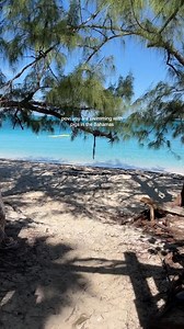 2.2K views | Swimming with Pigs in the Bahamas?! YES PLEASE! ...
