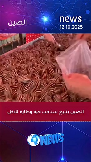 Ahmed Shalaby on Reels