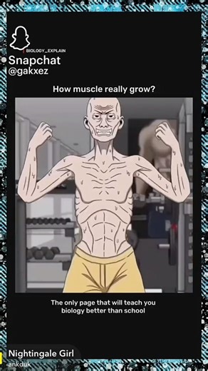The Science of Muscle Hypertrophy Explained in 30 Seconds
