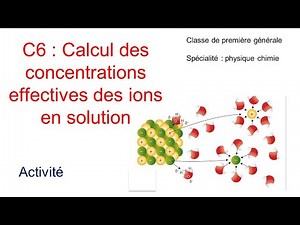 C6 Calcul des concentrations effectives des ions en solution (spécialité physique-chimie)