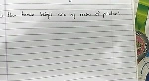 How human beings are big reason of pollution?... | Filo
