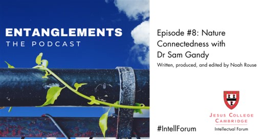 Entanglements podcast: Nature Connectedness