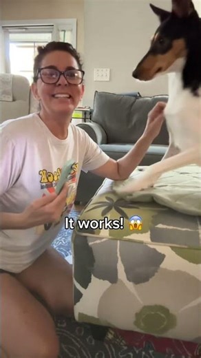 User testing our dog translator, smart puppy! #traini #trainiapp