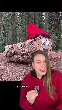 The Spanish poop log #spain #histoey #christmas #christmastradition