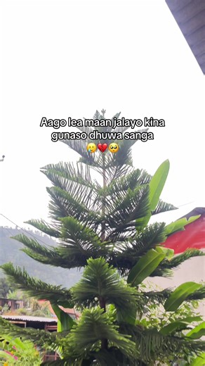 Kina ? #quotes #caption #sadstory #backstory #fyp