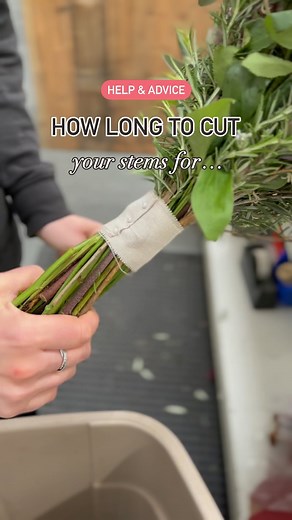 BRIDAL BOUQUETS ✂️ Here is a quick tutorial guide on how long to cut the stems for bridal bouquets using your hands! Follow for help and advice content 📲 save for later! 💐 #floristhack #flowerbouquet #flowers #floristtips #floristryforbeginners #diyflowers #weddingflowers #weddingtips #weddingplanner #weddingflorist | Triangle Nursery - Wholesale Wedding & Event Flowers