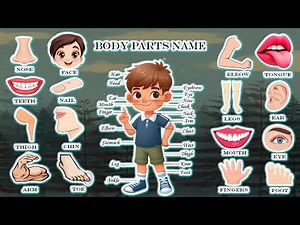 Body Parts Name for Kids | Learn Human Body Parts with Fun Animation for Nursery & Kindergarten