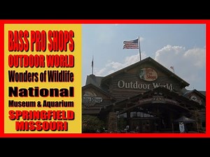 Bass Pro Shop | Wonders of Wildlife Museum and Aquarium | Springfield Missouri