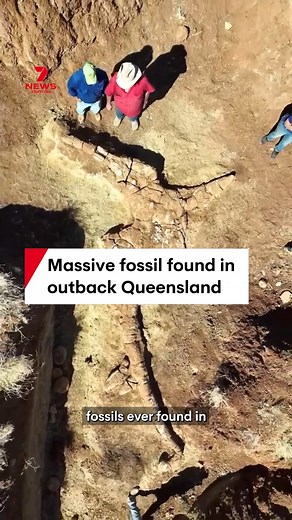 One of the most complete fossils ever found in Australia has been dug up in outback Queensland. It belonged to a dolphin-like marine reptile that lived more than 100 million years ago. #fossil #dinosaur #paleantology #queensland #australia | 7NEWS Sunshine Coast