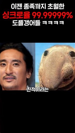 Now, doppelgangers with a 99.999% synchronization rate that transcends even races ㅋㅋㅋㅋㅋㅋㅋㅋㅋㅋㅋ