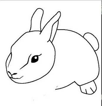 How to draw a rabbit or bunny- in easy steps for children. beginners