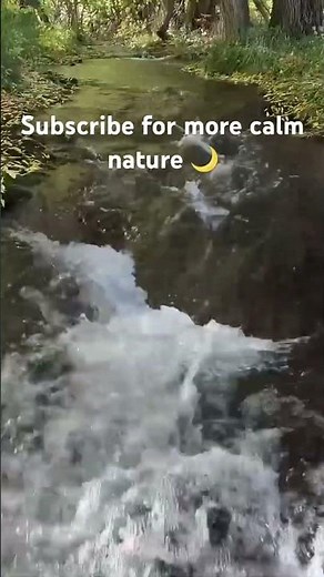 Colorado fall stream sounds 🍂