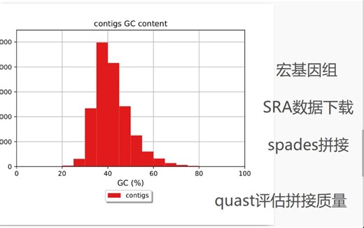 新手从零宏基因组2--SRA数据下载、spades拼接、quast评估拼接质量