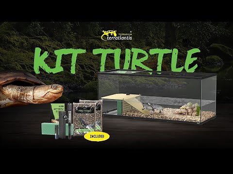 Unboxing KIT TURTLE - Terratlantis Terrarium (by Aquatlantis)