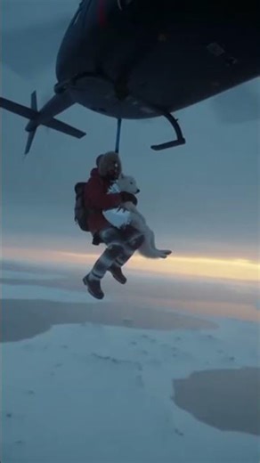 Frozen Rescue: Explorer Saves Arctic Wolf from Icy Death ❄️🐺 | Emotional Hero Story