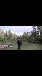 UNTAMED GANJA SMOKAnew ganja music out now- UNTAMED produced by CURTIS on all platforms NOW! LINK IN BIO- https://song.link/untamed | Soulmedic | Facebook