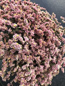 Contact Us for Manufacturing ERP software in India | SourcePro