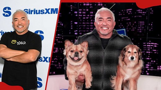 What happened to Cesar Millan? Legal issues, career updates, and more