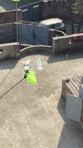 shok (@shok6319)’s videos with original sound - shok