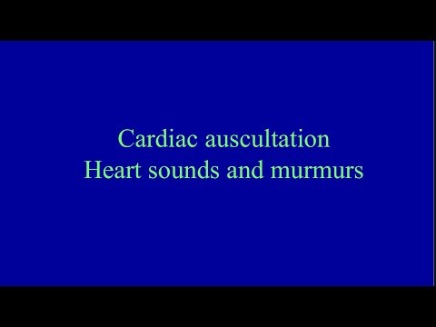 Cardiovascular System II