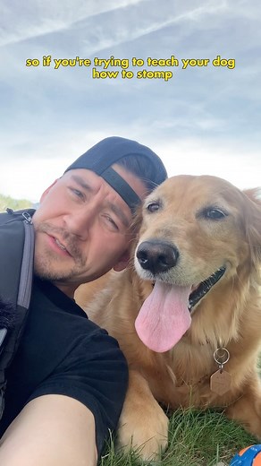 Chris & Nala on Instagram: "Answering the number 1 question I get asked - how did the Nala stomps start?? No training involved. Nala started on her own doing this when she was under a year old. She always liked to go between my legs. It was her happy place or something. I’ve since learned that lots of retrievers do this! One day I started giving her some butt scratches and she started stomping her little feet. I think my laughter every time she started stomping was sort of a positive reinforceme