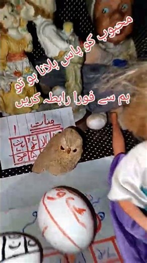 Love spells that work instantly