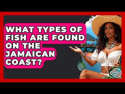 What Types Of Fish Are Found On The Jamaican Coast? - The Caribbean Expert