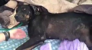 58K views · 3.8K reactions | PLEASE PLEASE Stay with us today! We're...