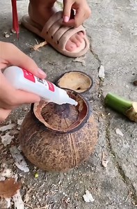 2.9M views · 7.7K reactions | Life in the countryside is full of coconuts 2.. Coconut is always used to make everything | El Cruce | Facebook