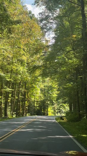 🚗✨ There’s nothing quite like a peaceful mountain drive along US-441 (Newfound Gap Road) through the Smoky Mountains. Winding from Gatlinburg, TN to Cherokee, NC, this scenic stretch takes you on a journey through towering forests, mountain overlooks, and ever-changing elevations. 🌲🌄 Along the way you’ll find: 🌟 Newfound Gap Overlook – where you can stand in both Tennessee & North Carolina at once. 🌟 Sweeping views of ridgelines that seem to roll on forever. 🌟 Quiet pull-offs perfect for s