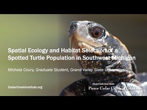 Spatial Ecology and Habitat Selection of Spotted Turtles in SW Michigan with Michela Coury