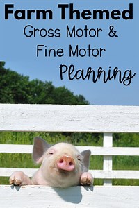 Farm Themed Motor Planning Ideas