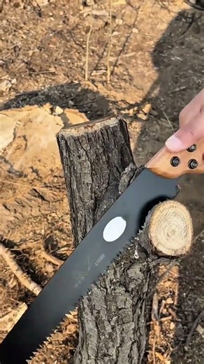 cutting through a thick tree branch using a sharp professional hand saw in an outdoor setting