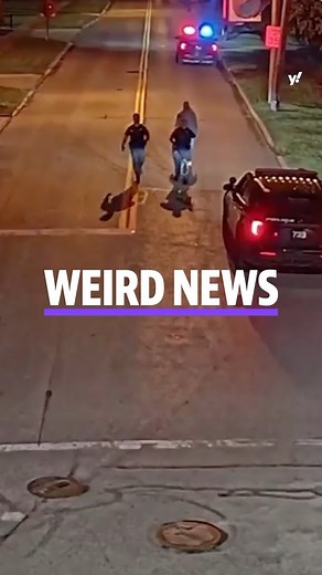 14K views · 25 reactions | Here are this week’s weirdest news stories 劣 | Yahoo News | Facebook