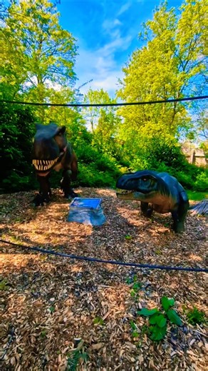 T-Rex Family #dinosaurier #rex #jurassicsafari #reiseliebe #serengetinationalpark